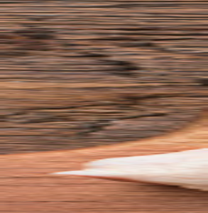 Chicken Thighs (Meat), with backbone