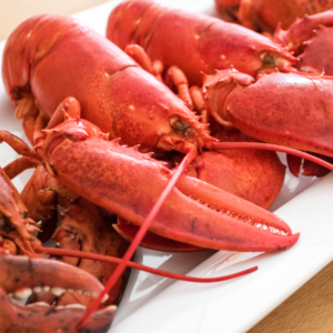 SEAFOOD